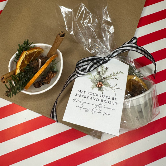 Holiday Beeswax Patio Fire Starters - 4 pack